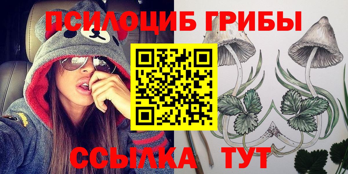 Псилоцибиновые грибы GOLDEN TEACHER Гулькевичи